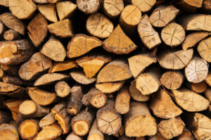 چوب و هر آنچه که در صنعت چوب ودکوراسیون باید بدانید